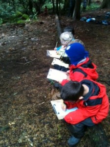 Literacy on a Log